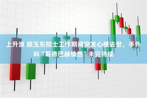 上升浪 顾玉东院士工作期间突发心梗去世，手外科“哥德巴赫猜想”未完待续