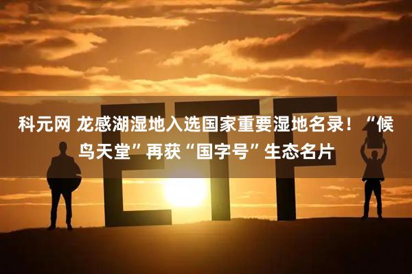 科元网 龙感湖湿地入选国家重要湿地名录!“候鸟天堂”再获“国字号”生态名片