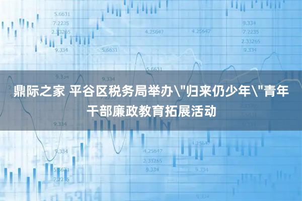 鼎际之家 平谷区税务局举办＂归来仍少年＂青年干部廉政教育拓展活动